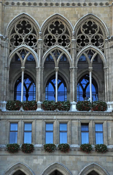 Gotiska katedral fönster (Wien) — Stockfoto