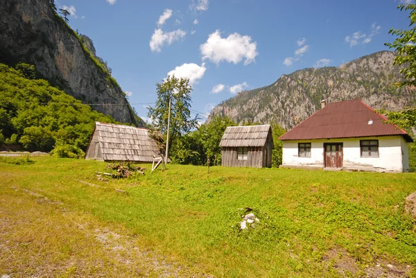 Zomer landelijk landschap — Stockfoto