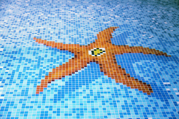 Swimming pool tiled starfish design.