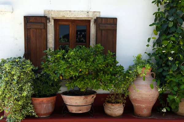 Janelas e vasos de flores (Creta, Grécia) ) — Fotografia de Stock