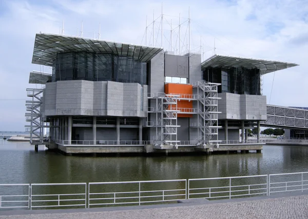 Słynny oceanarium w Lizbonie (Portugalia) — Zdjęcie stockowe