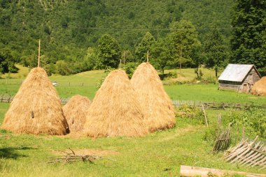 haystacks ile kırsal manzara yaz