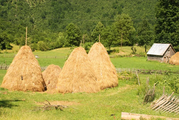 Paisagem rural de verão com palheiros — Fotografia de Stock