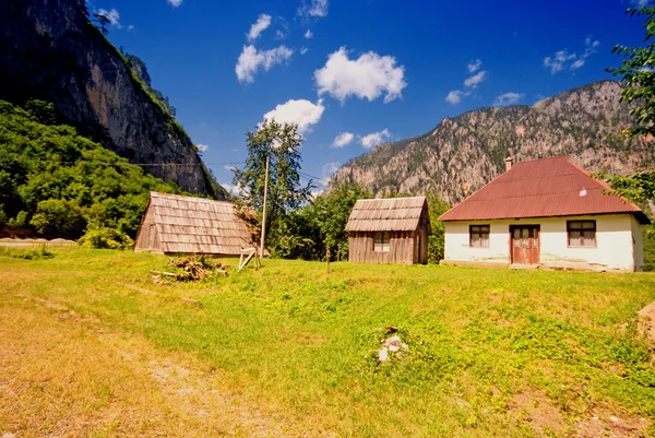 Verão paisagem rural — Fotografia de Stock