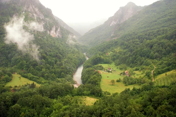 塔拉河峡谷（黑山 ) — 图库照片