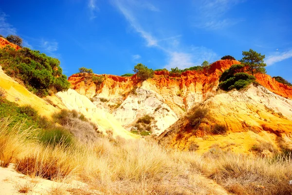 Pini e scogliere rosse (Algarve, Portogallo ) — Foto Stock