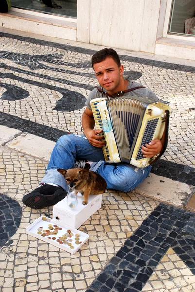 Musiker med liten söt hund spela dragspel (Lissabon, portugal) — Stockfoto