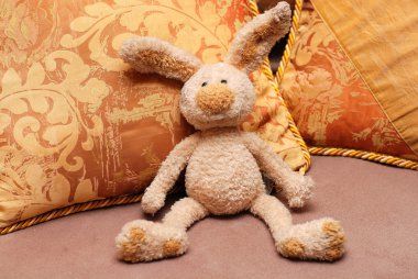 Bunny ve yastıklar