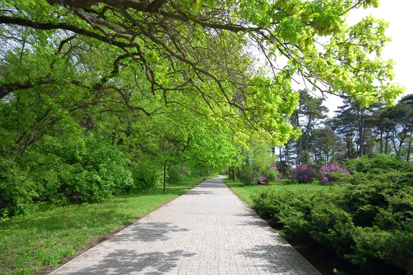 Zomer park — Stockfoto