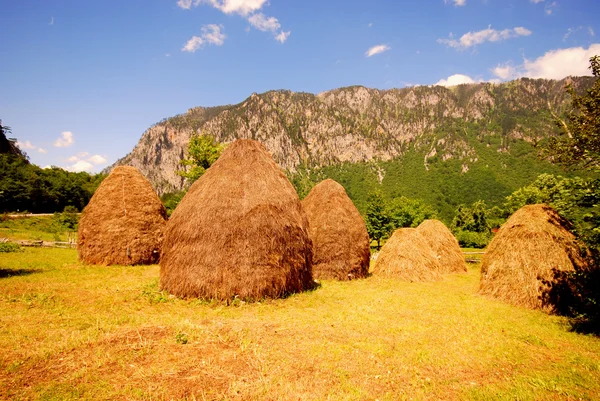 Paysage rural estival avec montagne et meules de foin — Photo