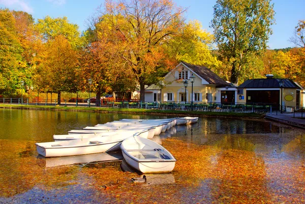 Lago nel parco autunnale — Foto Stock