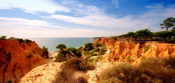 Stânci portocalii, pini și ocean (Algarve, Portugalia ) — Fotografie, imagine de stoc