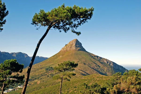 Гора в Кейптауне — стоковое фото
