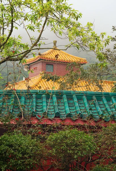 Multicolored pagoda in fog — Stock Photo, Image
