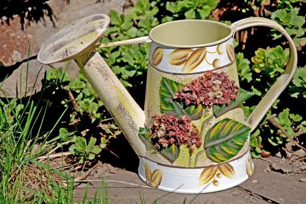 Watering-can in the garden — Stock Photo, Image
