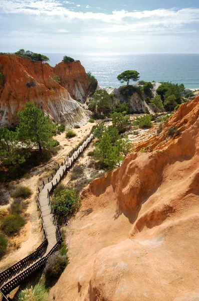 Falésias vermelhas, pinho e escadaria de madeira (Algarve, Portugal ) — Fotografia de Stock