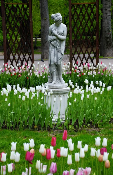 Standbeeld in de tuin. — Stockfoto