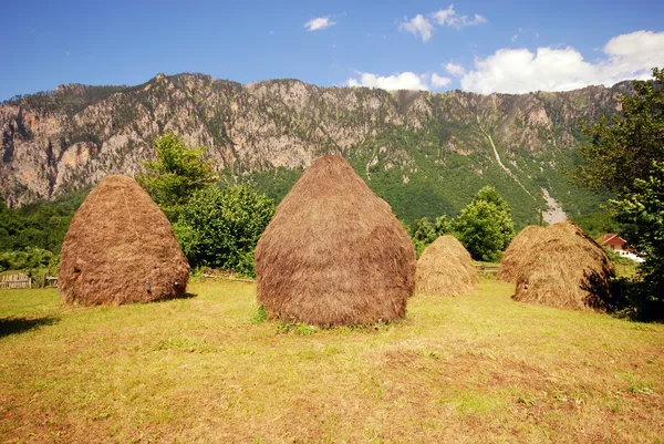 Heuhaufen — Stockfoto