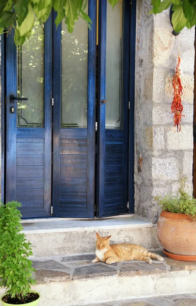 Grekiska street röd katt i blå dörren (Kreta, Grekland) — Stockfoto