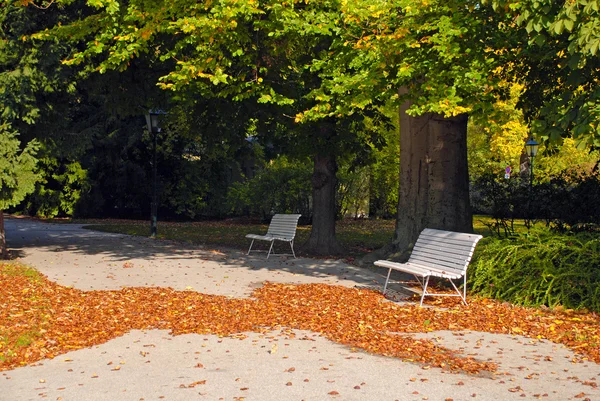 Fallen leaves — Stock Photo, Image