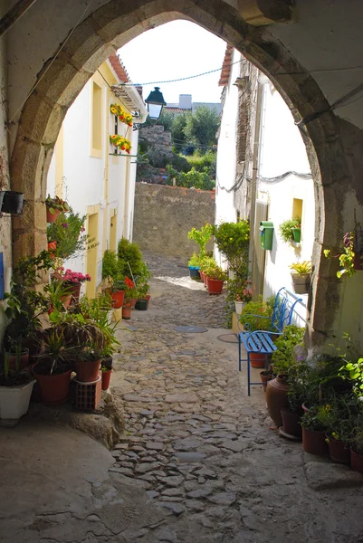 Dorpswoningen, werf en bloemen (portugal) — Stockfoto