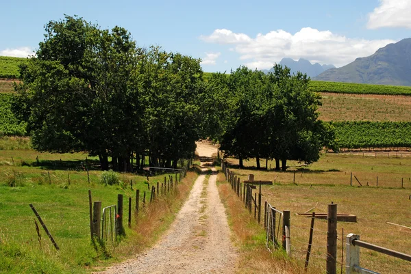 Landweg — Stockfoto