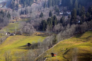 Avusturya Alplerinde erken ilkbaharda.