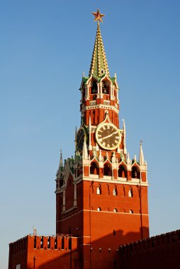 Kremlin (Moskova, Rusya)