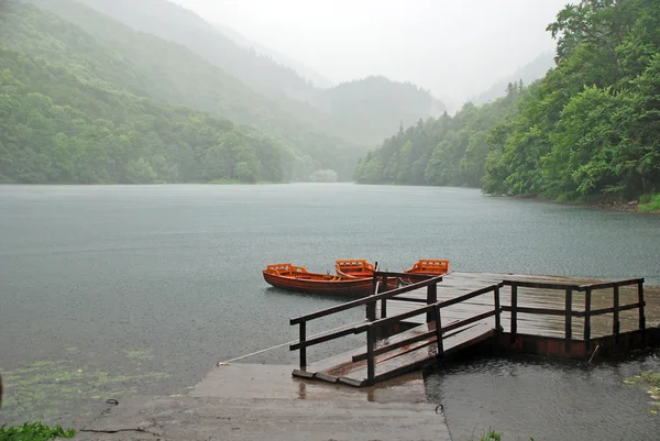 Rain on the lake — Stock Photo, Image