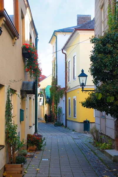 Narrow cobblestone street, Baden, Austria — Stock Photo, Image