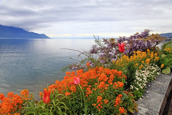 Paesaggio con fiori e lago di Ginevra, Montreux, Svizzera . — Foto Stock