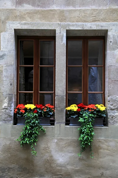 Duas janelas com flores e caixa de janela — Fotografia de Stock