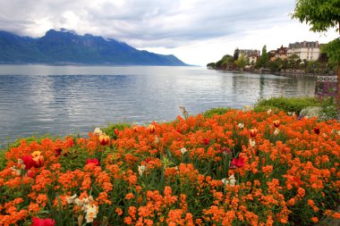 manzara çiçek ve Cenevre Gölü, montreux, İsviçre.