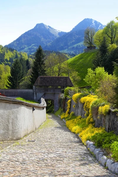 Passo a passo perto de Chateau Gruyeres e Alpes, Suíça — Fotografia de Stock
