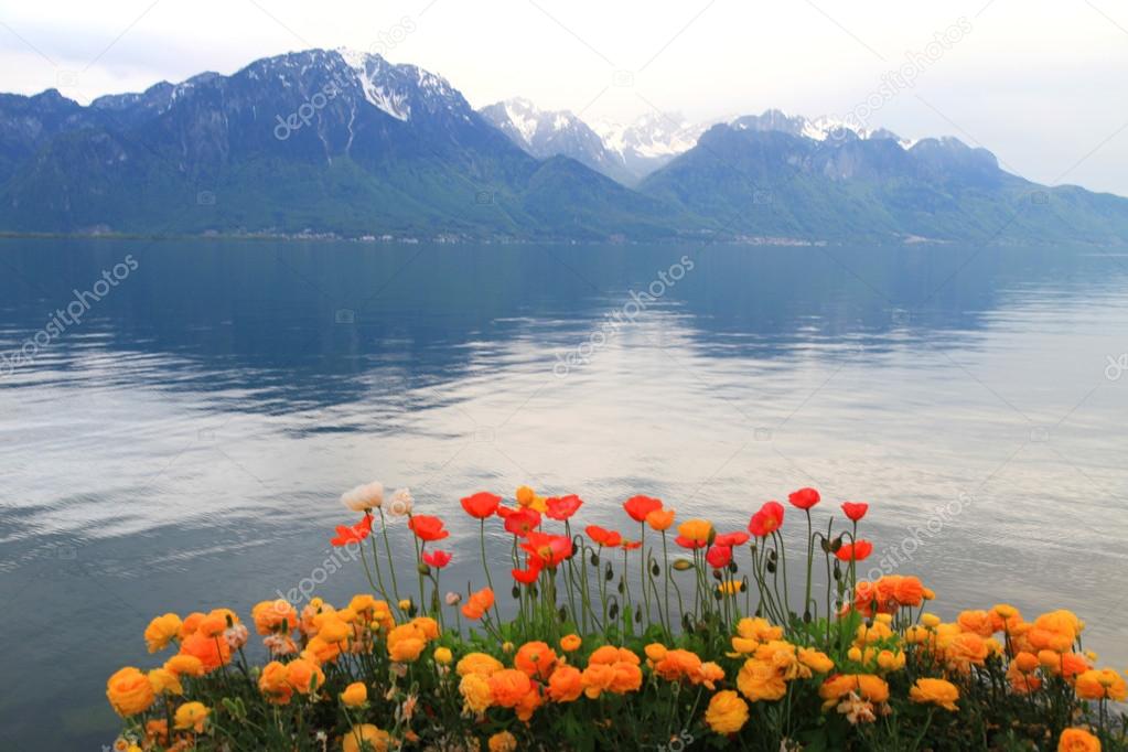 Landscape with flowers and Lake Geneva, Switzerland.
