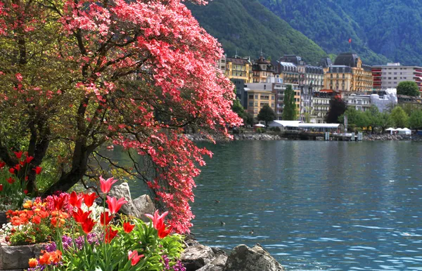 蒙特勒和日内瓦湖，瑞士. 免版税图库图片