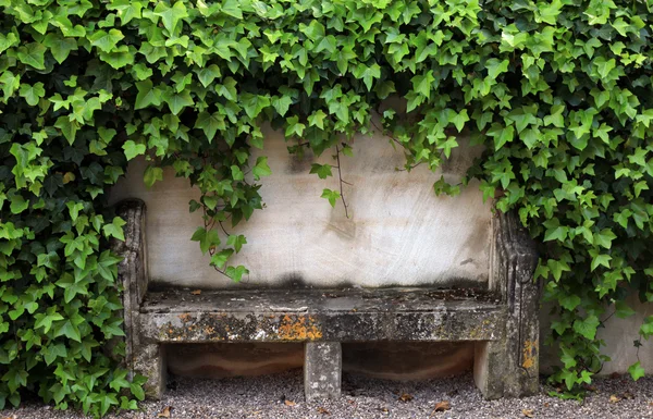 Banco de piedra y hiedra en la antigua pared de la casa rural, Provenza, Francia —  Fotos de Stock