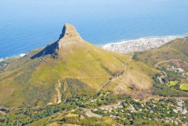 Aslan'ın baş dağ ve cape town, Güney Afrika.