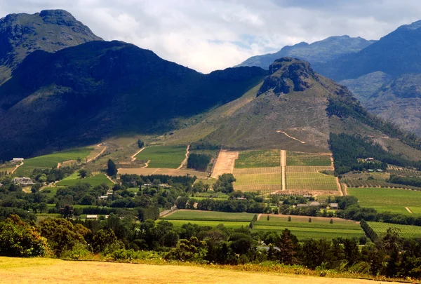 Rurale landschap, provincie Kaapstad (Zuid-Afrika) — Stockfoto