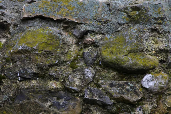 Taş duvar yosun kaplı — Stok fotoğraf