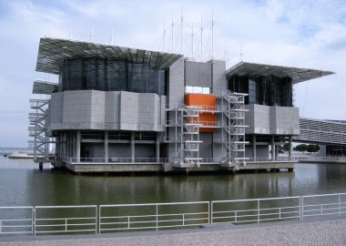 Lizbon (Portekiz ünlü oceanarium)
