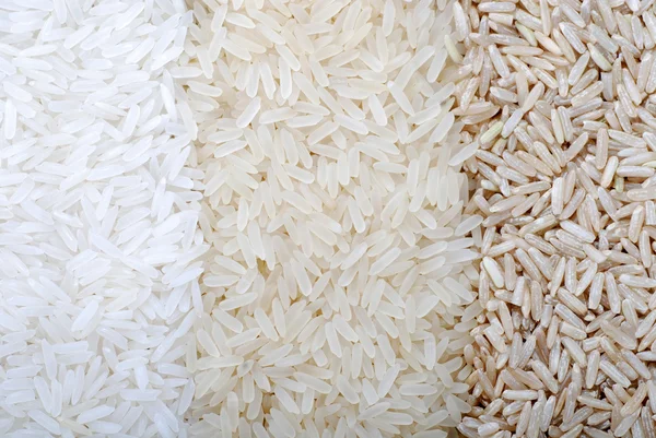 Tre file di varietà di riso — Foto Stock