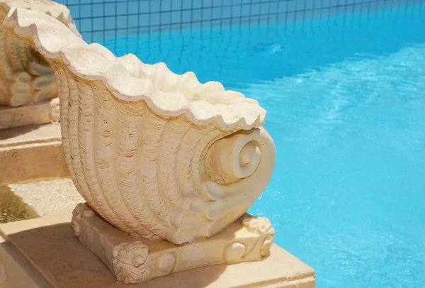 Shell in pool — Stock Photo, Image