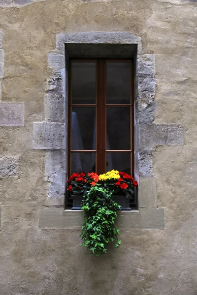 Vintage venster met bloemen en venster in — Stockfoto