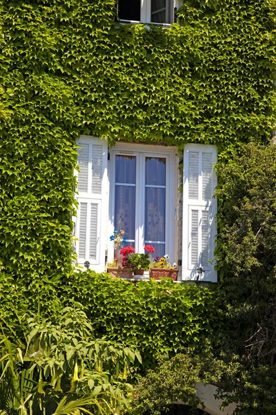 Ventana de Provenza con persianas blancas e hiedra, Provenza, Francia —  Fotos de Stock