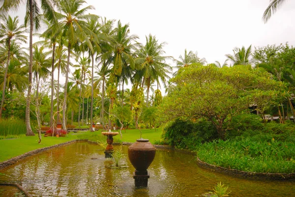 Тропічний сад курорту — стокове фото