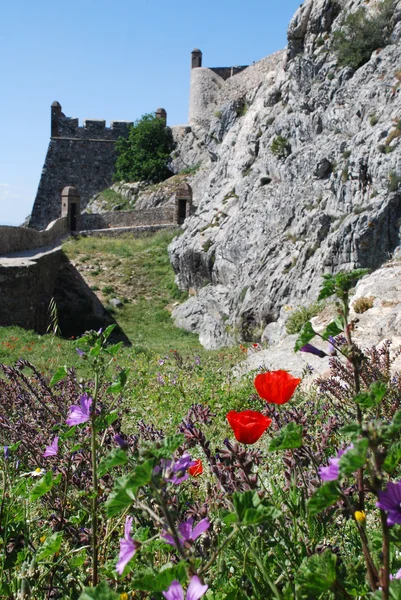 Červené Vlčí máky a starobylý hrad (marvao, Portugalsko) — Stock fotografie