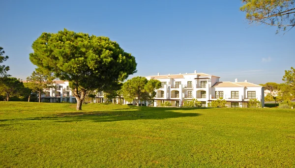 White holiday villa, lawn and pine — Stock Photo, Image