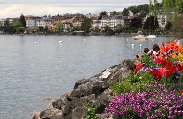 Květiny a Ženevské jezero, montreux, Švýcarsko. — Stock fotografie