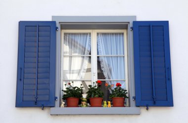 pencere ile Mavi panjurları ve saksı, İsviçre.